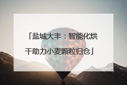 盐城大丰：智能化烘干助力小麦颗粒归仓