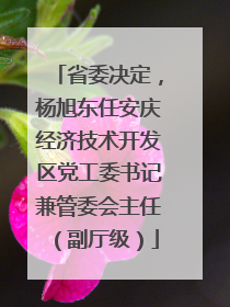 省委决定，杨旭东任安庆经济技术开发区党工委书记兼管委会主任（副厅级）
