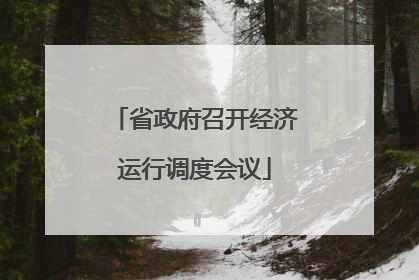 省政府召开经济运行调度会议