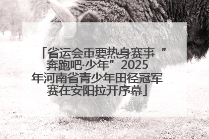 省运会重要热身赛事“奔跑吧·少年”2025年河南省青少年田径冠军赛在安阳拉开序幕
