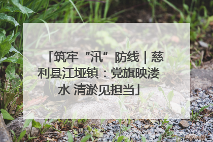 筑牢“汛”防线｜慈利县江垭镇：党旗映溇水 清淤见担当