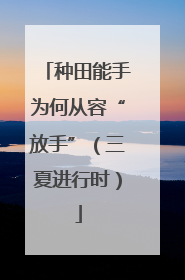 种田能手为何从容“放手”（三夏进行时）