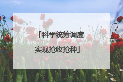 科学统筹调度实现抢收抢种