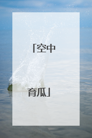 空中育瓜