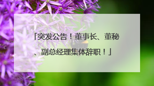 突发公告！董事长、董秘、副总经理集体辞职！