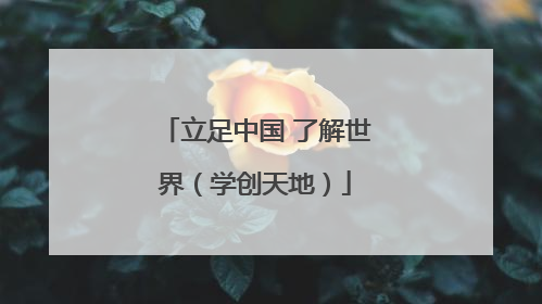 立足中国 了解世界（学创天地）