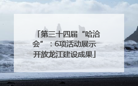 第三十四届“哈洽会”：6项活动展示开放龙江建设成果
