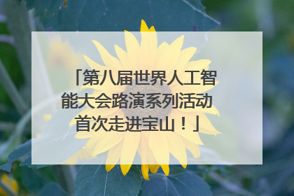 第八届世界人工智能大会路演系列活动首次走进宝山！