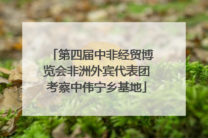 第四届中非经贸博览会非洲外宾代表团考察中伟宁乡基地