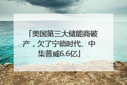 美国第三大储能商破产，欠了宁德时代、中集普威6.6亿