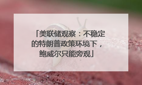 美联储观察：不稳定的特朗普政策环境下，鲍威尔只能旁观