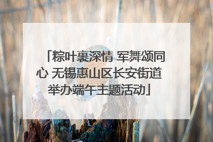 粽叶裹深情 军舞颂同心 无锡惠山区长安街道举办端午主题活动