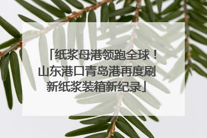纸浆母港领跑全球！山东港口青岛港再度刷新纸浆装箱新纪录
