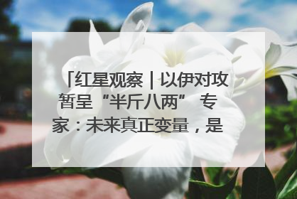 红星观察｜以伊对攻暂呈“半斤八两” 专家：未来真正变量，是美国是否进一步介入