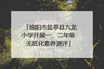 绵阳市盐亭县九龙小学开展一、二年级无纸化素养测评