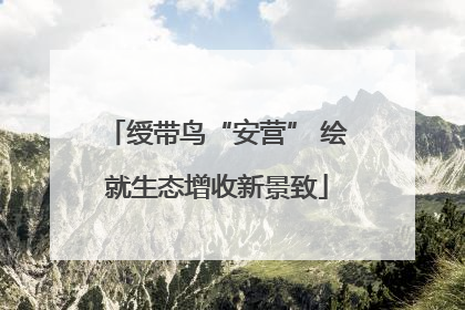 绶带鸟“安营” 绘就生态增收新景致
