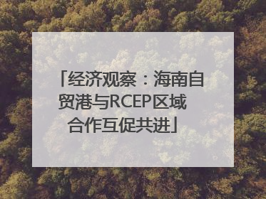 经济观察：海南自贸港与RCEP区域合作互促共进