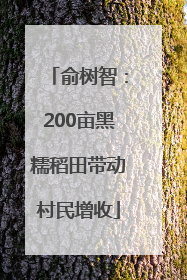 俞树智：200亩黑糯稻田带动村民增收
