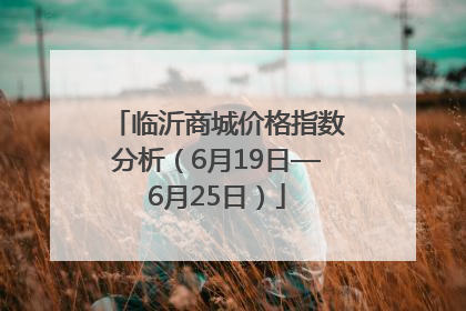 临沂商城价格指数分析（6月19日—6月25日）
