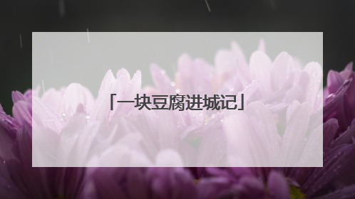一块豆腐进城记