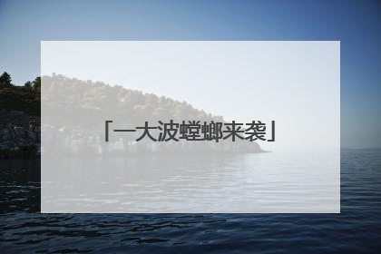 一大波螳螂来袭