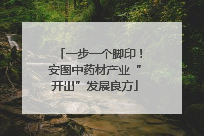 一步一个脚印！安图中药材产业“开出”发展良方
