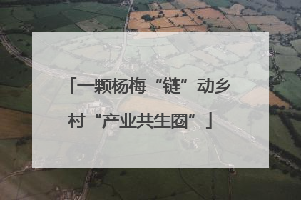 一颗杨梅“链”动乡村“产业共生圈”