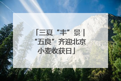 三夏“丰”景｜“五良”齐迎北京小麦收获日