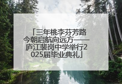 三年桃李芬芳路 今朝启航向远方——庐江裴岗中学举行2025届毕业典礼