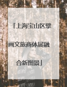上海宝山区擘画文旅商体展融合新图景