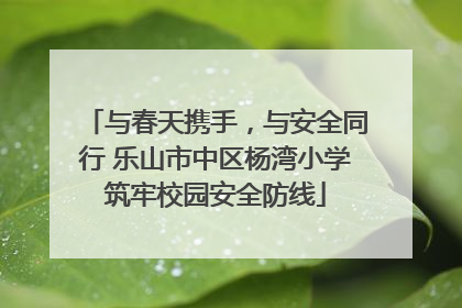 与春天携手，与安全同行 乐山市中区杨湾小学筑牢校园安全防线