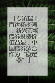 专访瑞士百达杨孝强：新兴市场债券投资价值凸显，中国债券适合作为“稳定器”