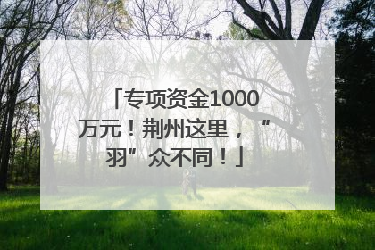 专项资金1000万元！荆州这里，“羽”众不同！