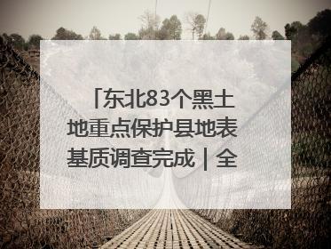 东北83个黑土地重点保护县地表基质调查完成｜全国“土地日”