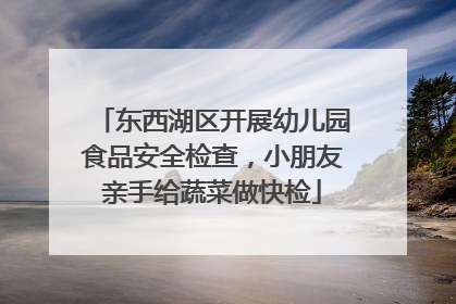 东西湖区开展幼儿园食品安全检查，小朋友亲手给蔬菜做快检