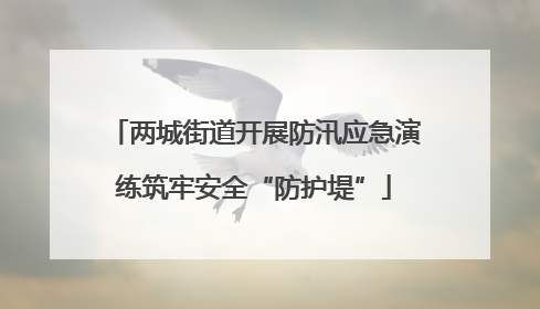 两城街道开展防汛应急演练筑牢安全“防护堤”