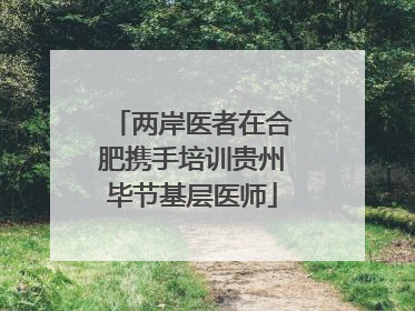 两岸医者在合肥携手培训贵州毕节基层医师