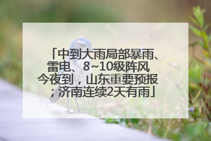 中到大雨局部暴雨、雷电、8~10级阵风今夜到，山东重要预报；济南连续2天有雨