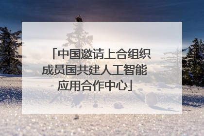 中国邀请上合组织成员国共建人工智能应用合作中心