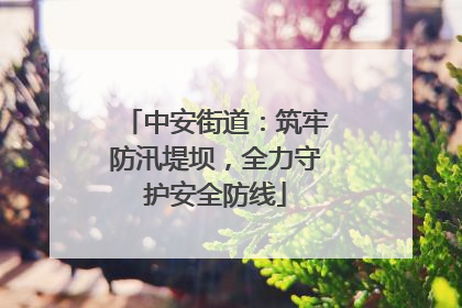 中安街道：筑牢防汛堤坝，全力守护安全防线