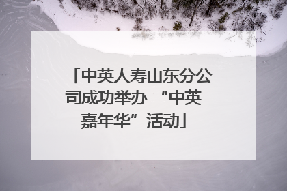 中英人寿山东分公司成功举办 “中英嘉年华”活动