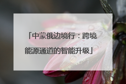中蒙俄边境行：跨境能源通道的智能升级