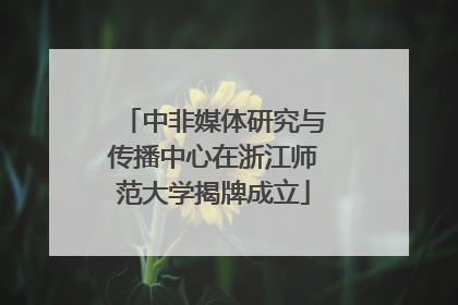 中非媒体研究与传播中心在浙江师范大学揭牌成立