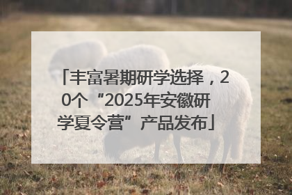 丰富暑期研学选择，20个“2025年安徽研学夏令营”产品发布