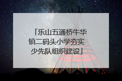 乐山五通桥牛华镇二码头小学夯实少先队组织建设