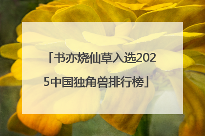 书亦烧仙草入选2025中国独角兽排行榜