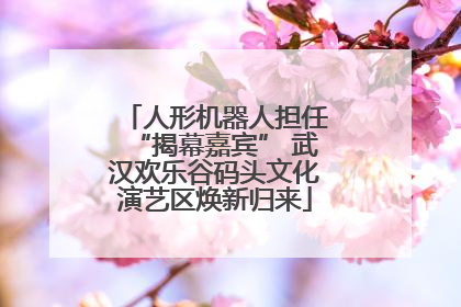 人形机器人担任“揭幕嘉宾” 武汉欢乐谷码头文化演艺区焕新归来