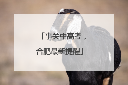 事关中高考，合肥最新提醒