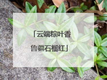 云端粽叶香 鲁疆石榴红