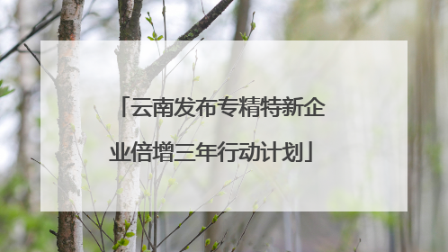 云南发布专精特新企业倍增三年行动计划